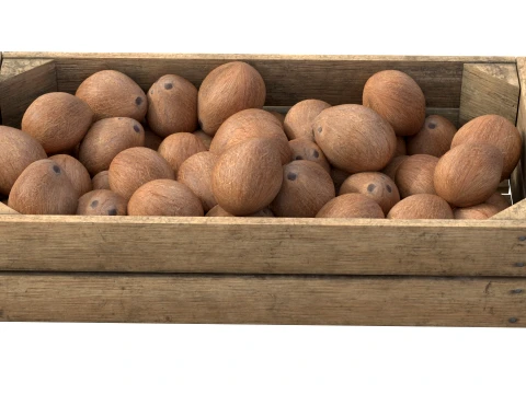 Coconut Inner Wooden Crate 3D Model