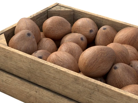 Coconut Inner Wooden Crate 3D Model