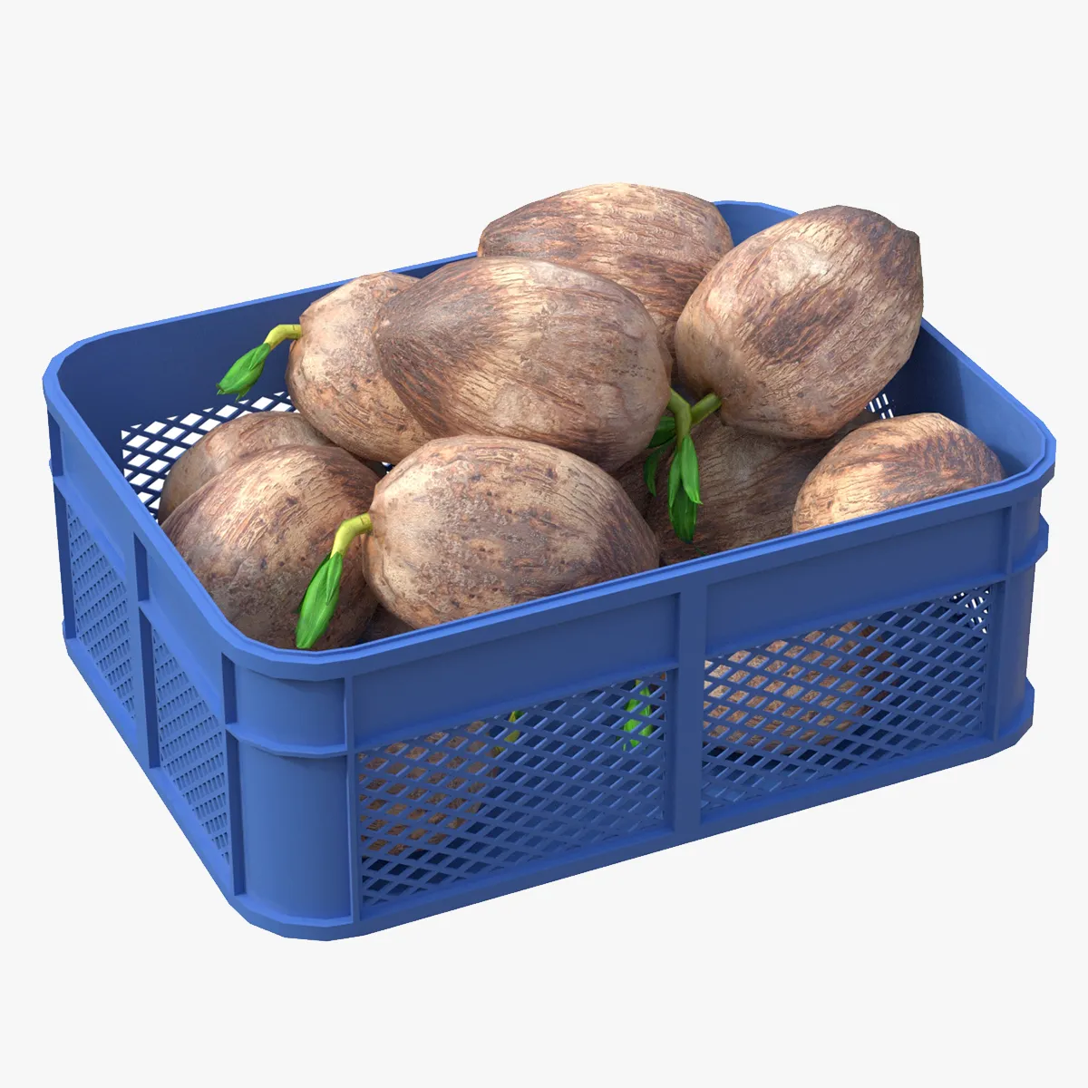 Coconut Sprout Plastic Crate 3D Model .c4d .max .obj .3ds .fbx .stl .blend