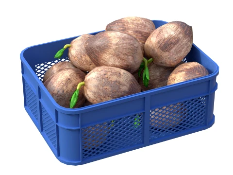 Coconut Sprout Plastic Crate 3D Model