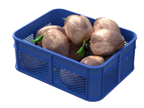 Coconut Sprout Plastic Crate 3D Model