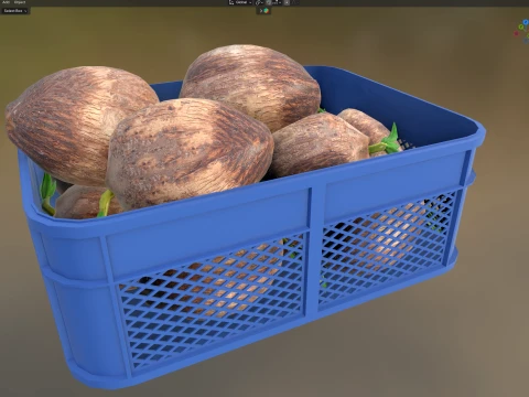 Coconut Sprout Plastic Crate 3D Model
