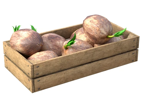 Caja de madera con brotes de coco Modelo 3D