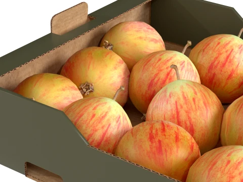 Crab Apple Cardboard Fruit Box 3D Model