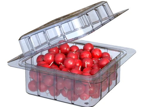 Cranberry Doos Kunststof Transparant 3D Model