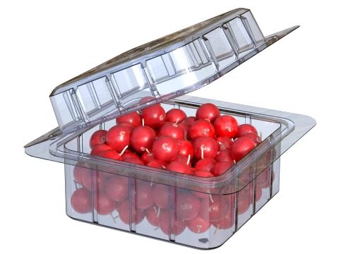 Cranberry Box Plastic Transparent 3D Model