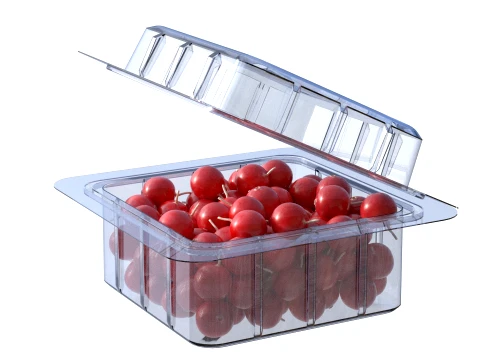 Cranberry Box Plastic Transparent 3D Model