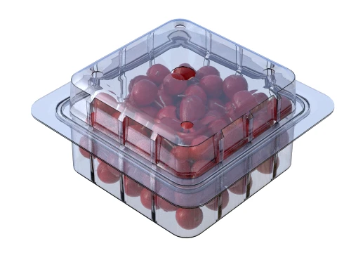 Cranberry Box Plastic Transparent 3D Model