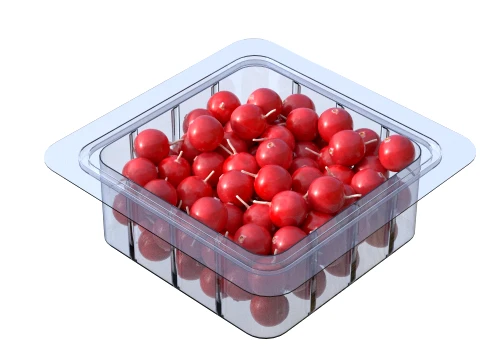 Cranberry Box Plastic Transparent 3D Model