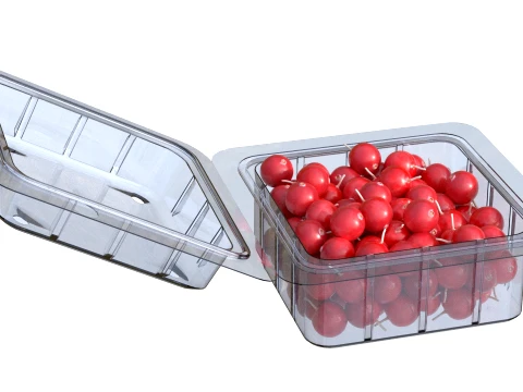 Cranberry Box Plastic Transparent 3D Model