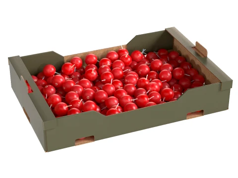 Cranberry kartonnen fruitdoos 3D Model