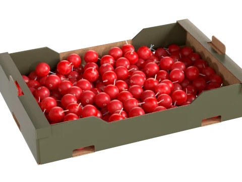 Cranberry Cardboard Fruit Box 3D Model