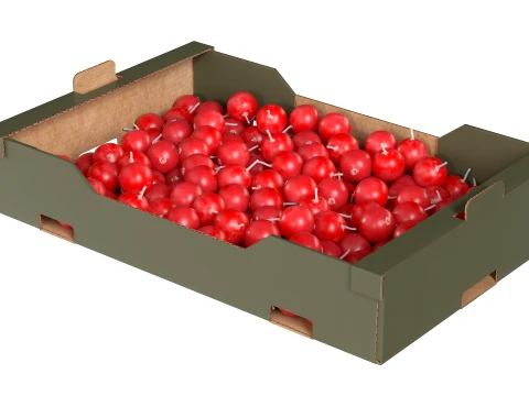Cranberry Cardboard Fruit Box 3D Model