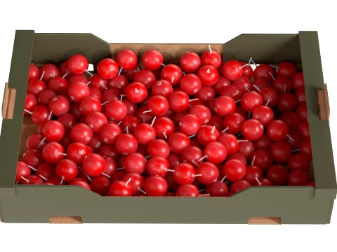 Cranberry Cardboard Fruit Box 3D Model