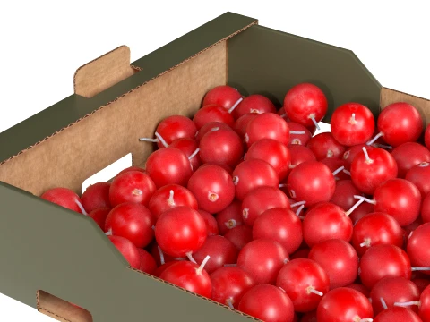 Cranberry Cardboard Fruit Box 3D Model