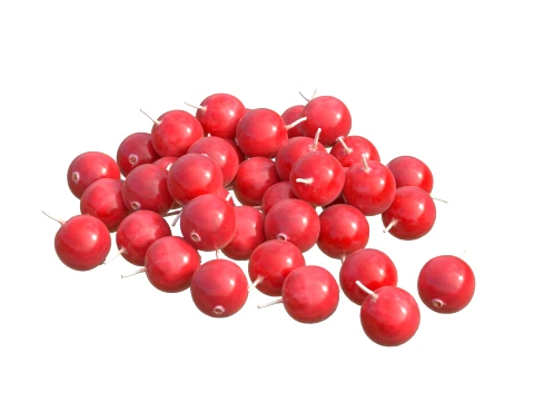 Cranberry Fruit 3D Model