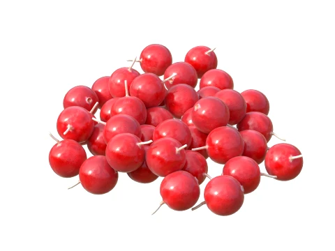 Cranberry Fruit 3D Model