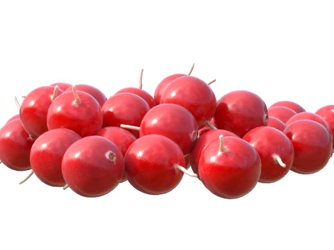 Cranberry Fruit 3D Model