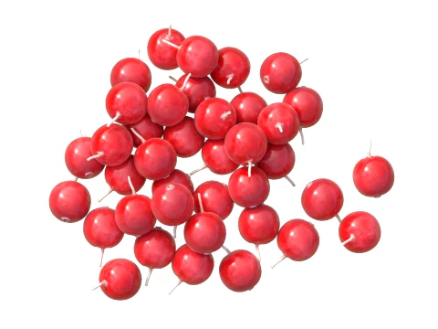 Cranberry Fruit 3D Model