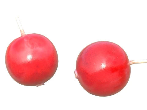 Cranberry Fruit 3D Model