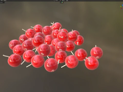 Cranberry Fruit 3D Model