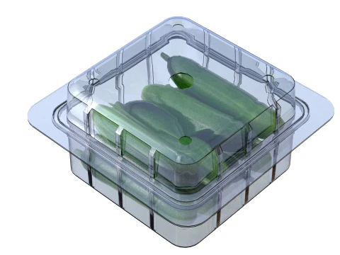Cucumber Box Plastic Transparent 3D Model