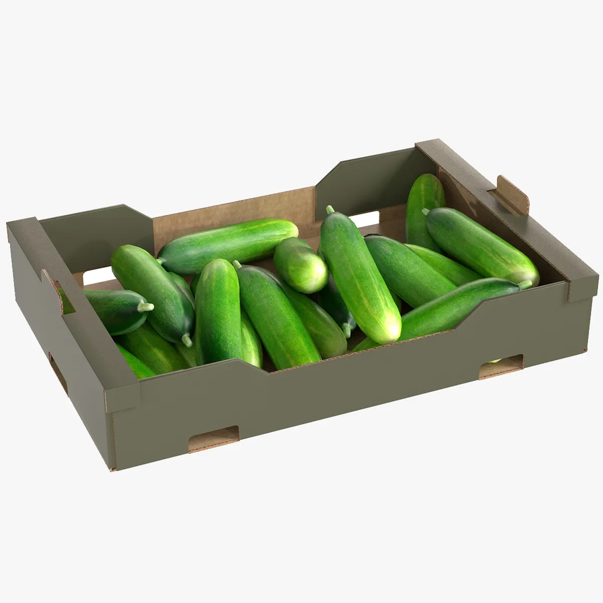 Cucumber Cardboard Fruit Box 3D Model .c4d .max .obj .3ds .fbx .stl .blend 