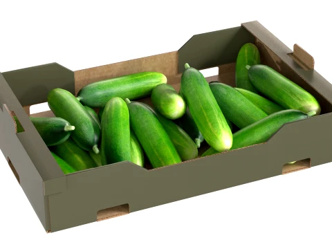 Cucumber Cardboard Fruit Box 3D Model
