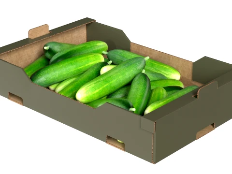 Cucumber Cardboard Fruit Box 3D Model