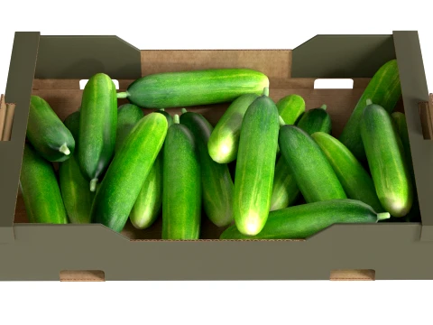 Cucumber Cardboard Fruit Box 3D Model