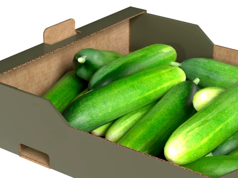 Cucumber Cardboard Fruit Box 3D Model