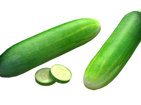 Cucumber Fruit 3D Model
