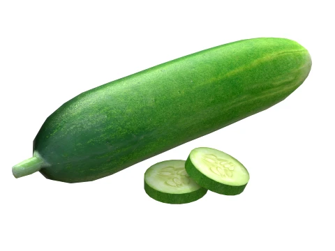 Cucumber Fruit 3D Model