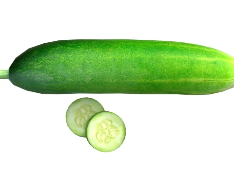 Cucumber Fruit 3D Model
