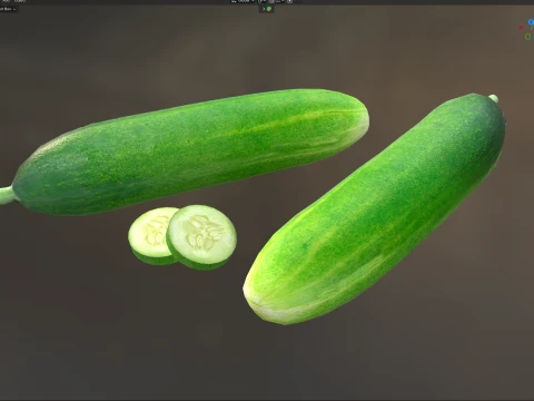 Cucumber Fruit 3D Model