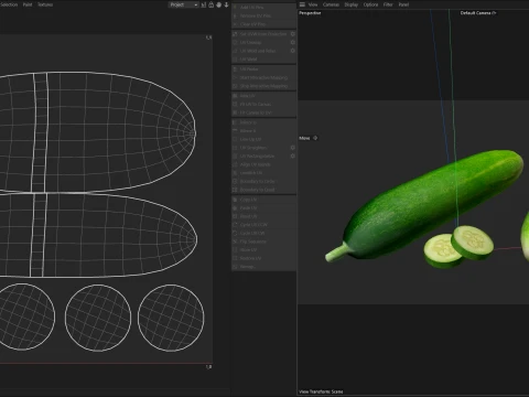 Cucumber Fruit 3D Model