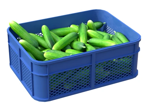 Cucumber Plastic Crate 3D Model