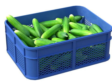 Cucumber Plastic Crate 3D Model