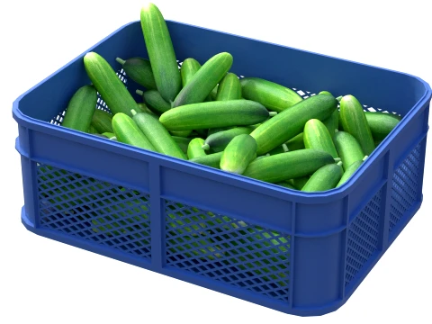Cucumber Plastic Crate 3D Model