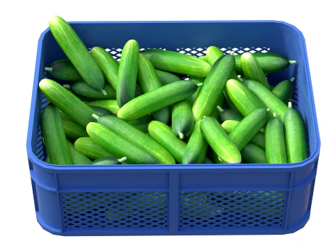 Cucumber Plastic Crate 3D Model