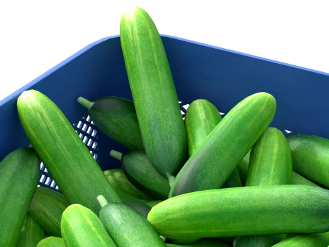 Cucumber Plastic Crate 3D Model