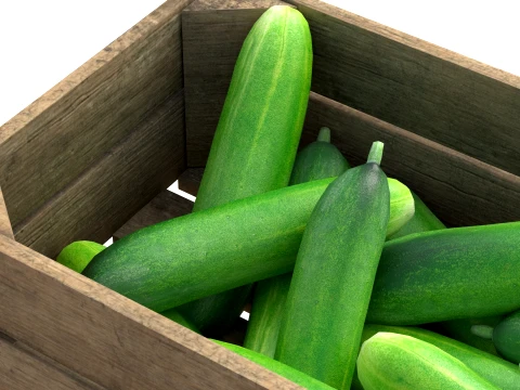 Cucumber Wooden Crate 3D Model
