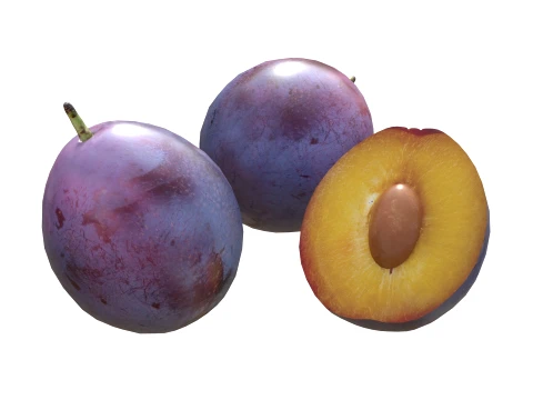 Damsun Plum 3D Model