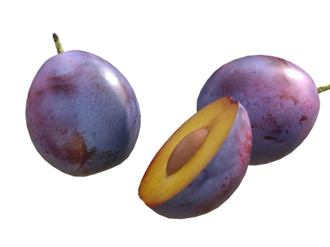 Damsun Plum 3D Model