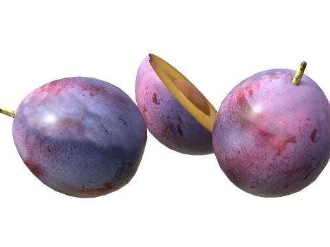 Damsun Plum 3D Model