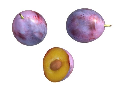 Damsun Plum 3D Model