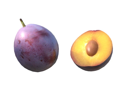 Damsun Plum 3D Model