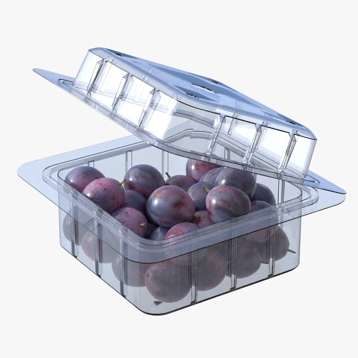 Damsun Plum Box Plastic Transparent 3D Model .c4d .max .obj .3ds .fbx .stl .blend 