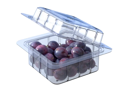 Damsun Plum Box Plastic Transparent 3D Model