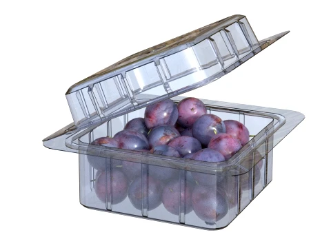 Damsun Plum Box Plastic Transparent 3D Model